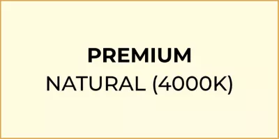 Natural LED light icon.